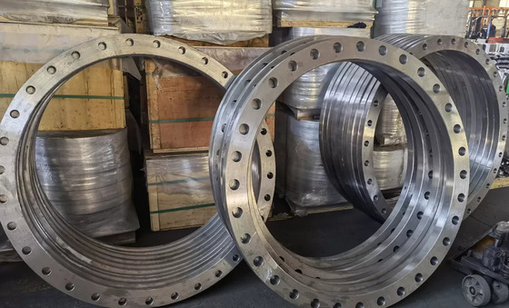 OEM ASTM A105karbon Çelik Dövme Flanşlar SCH80 Pas Korumalı Yağ Yüzeyi